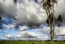 莫尔德vs维京今天比赛结果是什么？