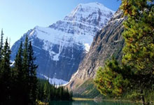 勒沃库森对阵斯图加特，这场德甲对决有哪些看点？